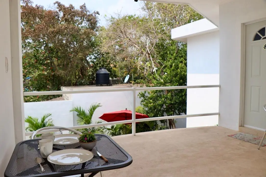 Vista exterior y selva